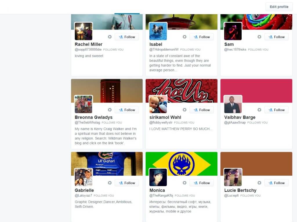 Twitterwind.com twitter followers examples