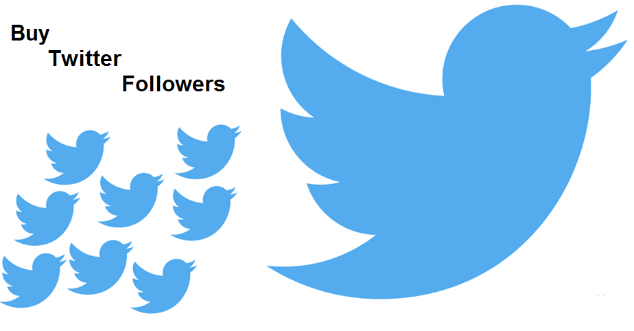 Can You Buy Twitter Followers in 2019?