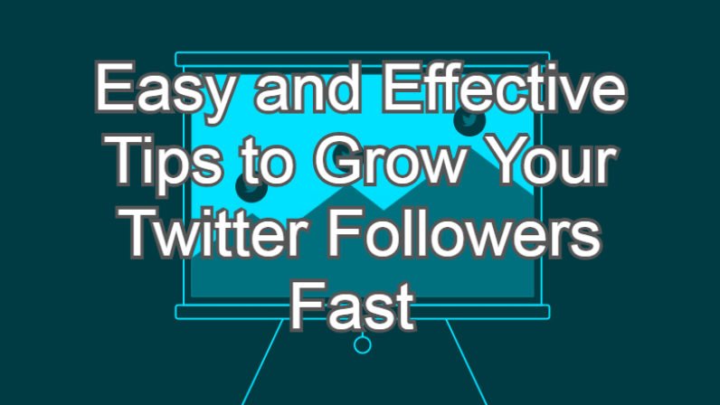 Easy and Effective Tips to Grow Your Twitter Followers Fast