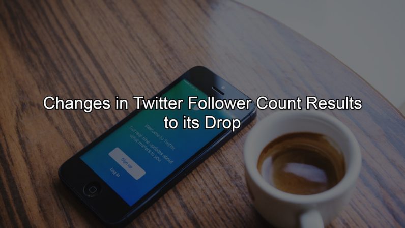 Changes in Twitter Follower Count Results to its Drop