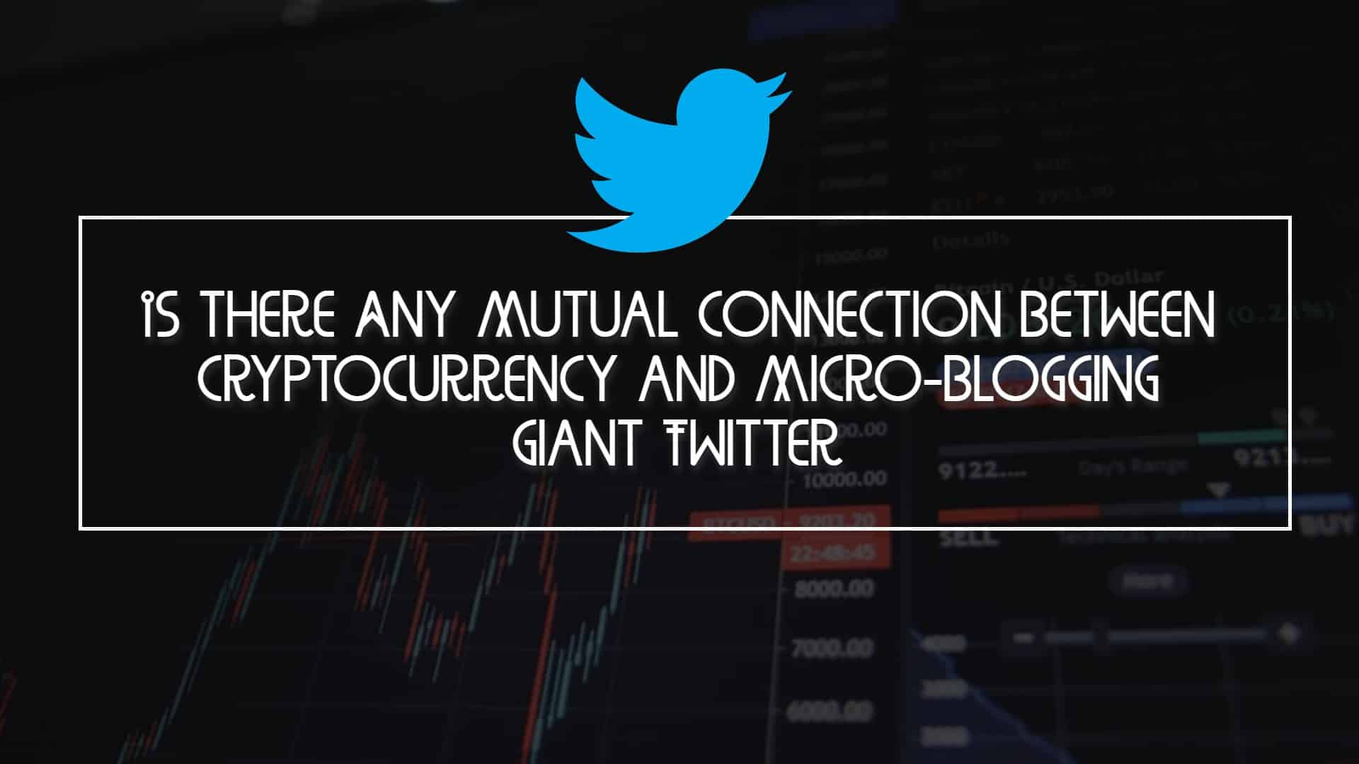 Cryptocurrency와 Micro-Blogging Giant Twitter간에 상호 연결이 있습니까?