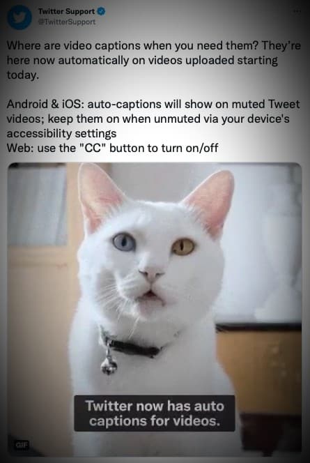 Twitter Videos Now Have Auto-generated Captions